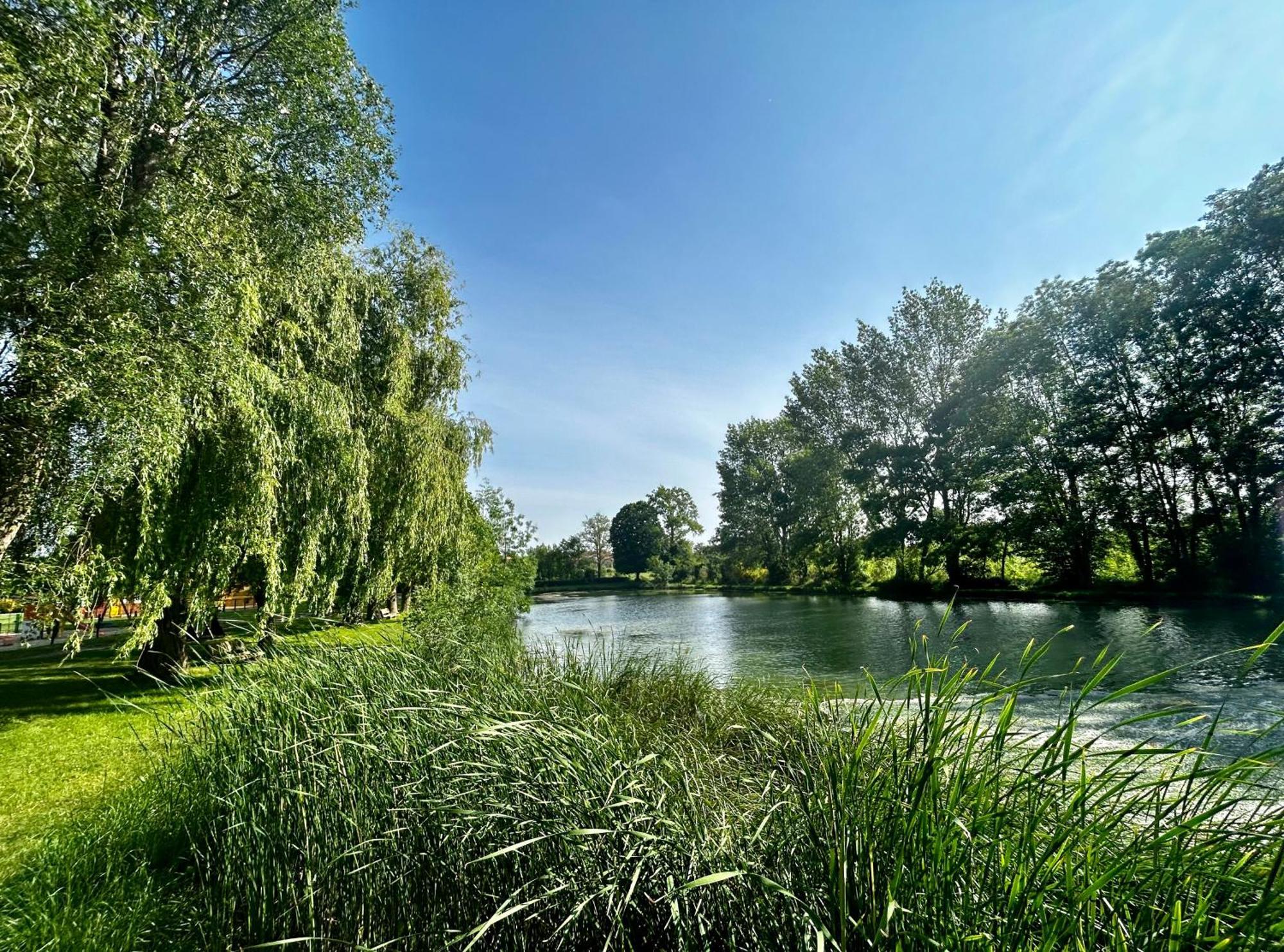 Les Cabanes Du Lac Vandré المظهر الخارجي الصورة